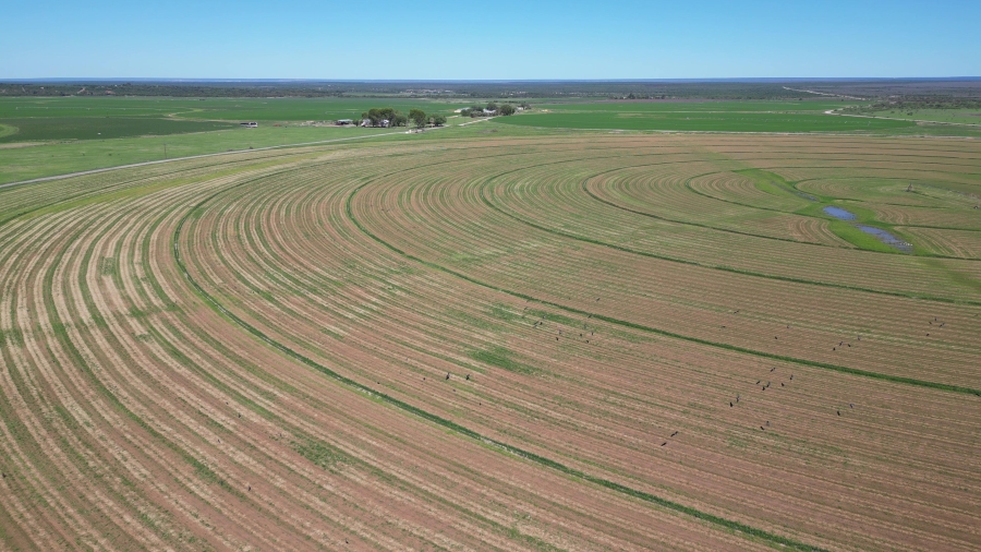 0 Bedroom Property for Sale in Douglas Rural Northern Cape